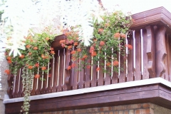 Bilder-Balkon-Erika-II