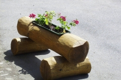 Bilder-Baumstamm-mit-Blumenkasten