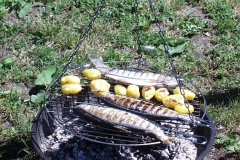 Bilder-Dreifuß-mit-Forellen-I