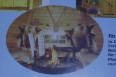 Bilder-Grillpavillon-I