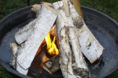 Bilder-Kaminholz-III