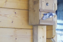 Bilder-Nistkasten-2005-I
