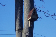 Bilder-Nistkasten-2005