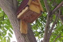 Bilder-Nistkasten-I