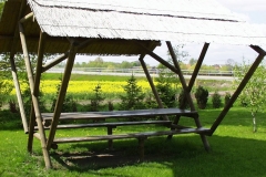 Bilder-Schafraufe-II