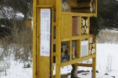 Bilder-Insektenhotel-III
