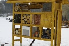 Bilder-Insektenhotel