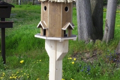 Bilder-Vogelhaus-Reinecke