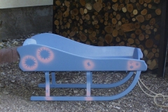 Bilder-Schlitten-Sophia