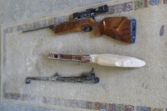 Kolben-luftgewehr