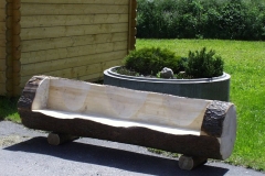 Bilder-Baumstammbank-II