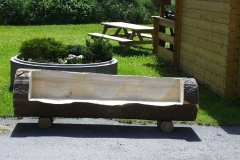 Bilder-Baumstammbank-III